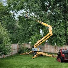Best Tree Risk Assessment  in Dobbs Ferry, NY