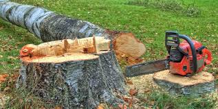Mulching Services in Dobbs Ferry, NY