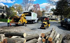 Best Tree Preservation Services  in Dobbs Ferry, NY