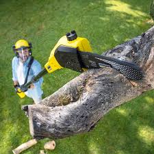 Best Lawn Watering Services  in Dobbs Ferry, NY
