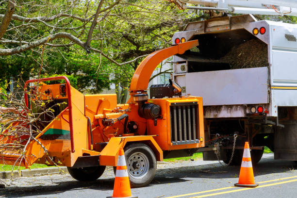 Best Utility Line Clearance  in Dobbs Ferry, NY