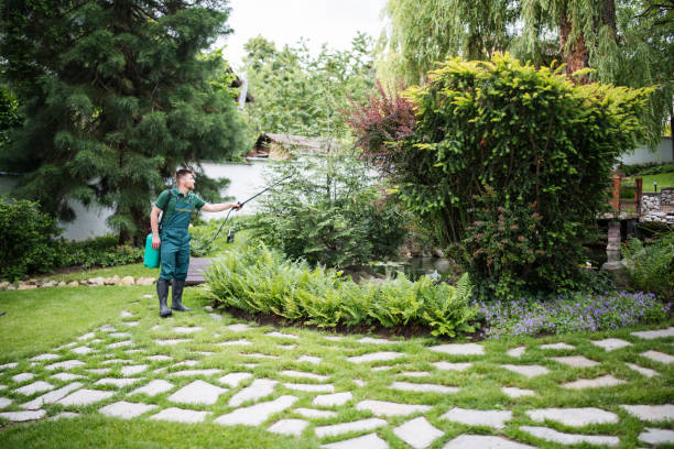How Our Tree Care Process Works  in  Dobbs Ferry, NY