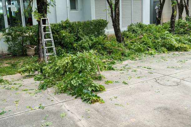 Best Weed Control  in Dobbs Ferry, NY
