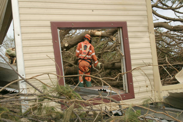 Dobbs Ferry, NY Tree Services Company